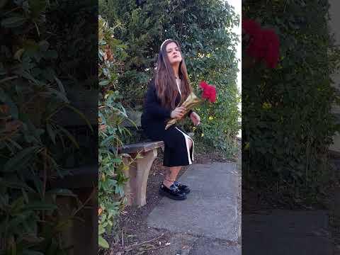 Fashion Trends: Fall Dress Styles for Every Occasion